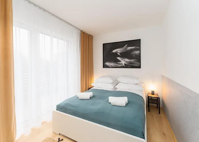 Submarine Surfingbird ジビジノ