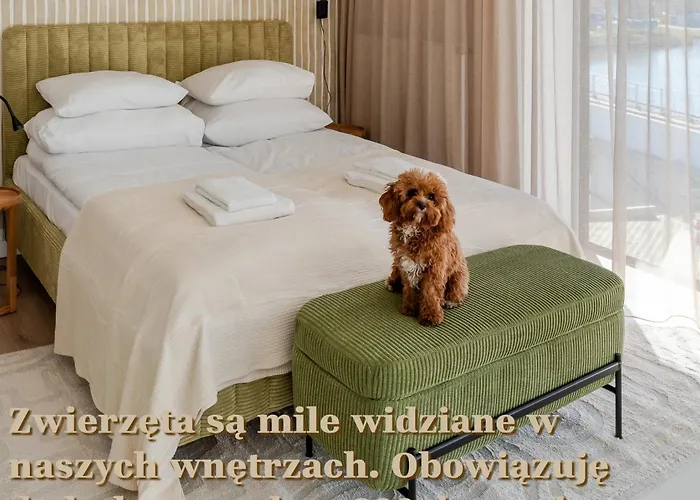 アパート Submarine Surfingbird ジビジノ